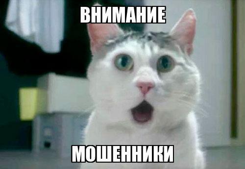 Одни без совести, а другие без денег или со статьёй в 18 лет! История о том, как в столице Урала обманывают не только пенсионеров, но и подростков.