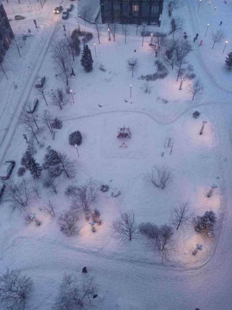 Зима, февраль, снегопад... Моя прогулка по заснеженному парку