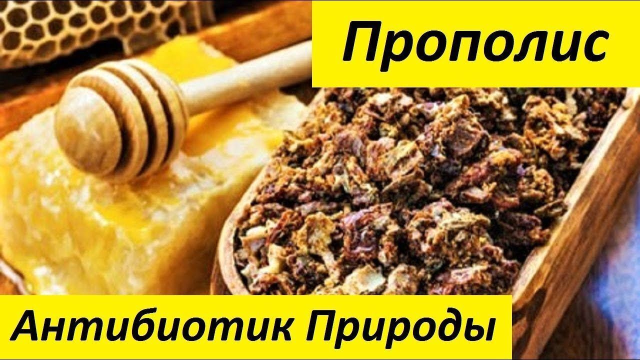 Вред прополиса