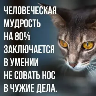 Стоит ли “совать нос” в чужие дела?