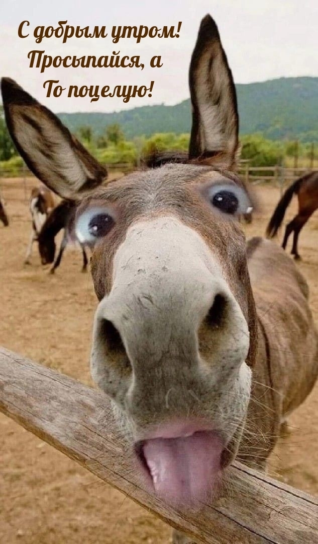 Советую читать настроения поднимется