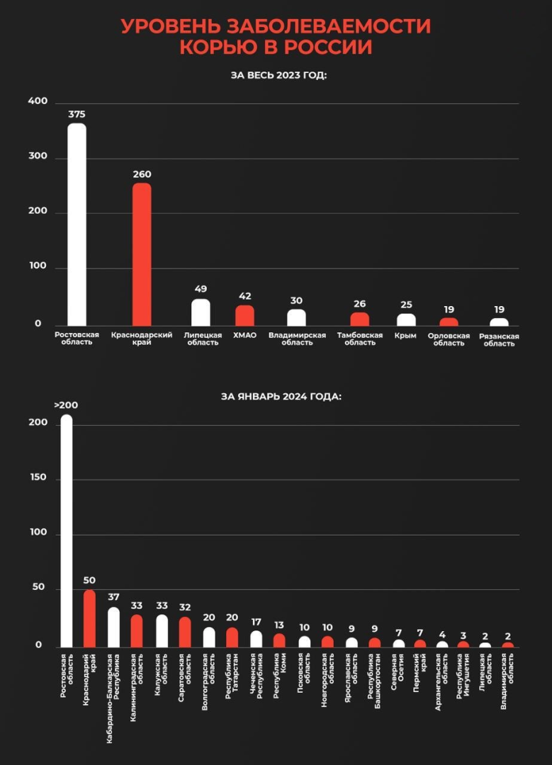 Заболеваемость корью в России выросла в 79 раз по сравнению с 2022 годом, — СМИ