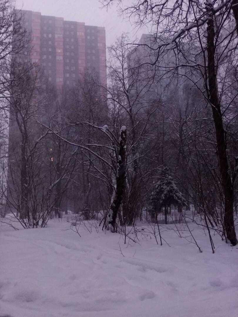 Зима, февраль, снегопад... Моя прогулка по заснеженному парку