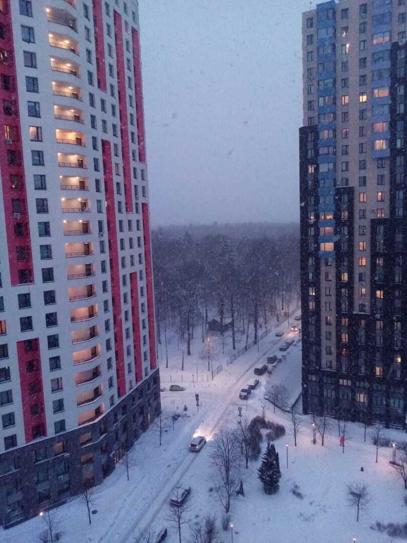 Зима, февраль, снегопад... Моя прогулка по заснеженному парку