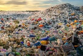 Ученые создали инновационный способ борьбы с пластиковым загрязнением