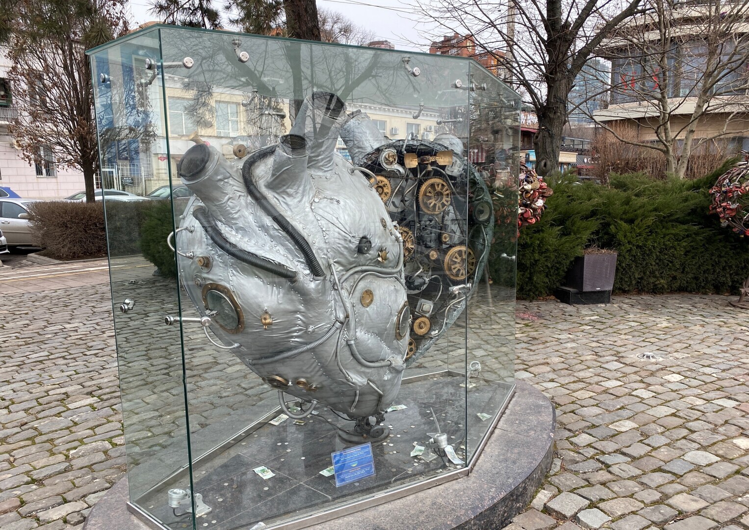 В Ростове февраль превратился в апрель. Еще немного и на улицах вырастут банановые пальмы