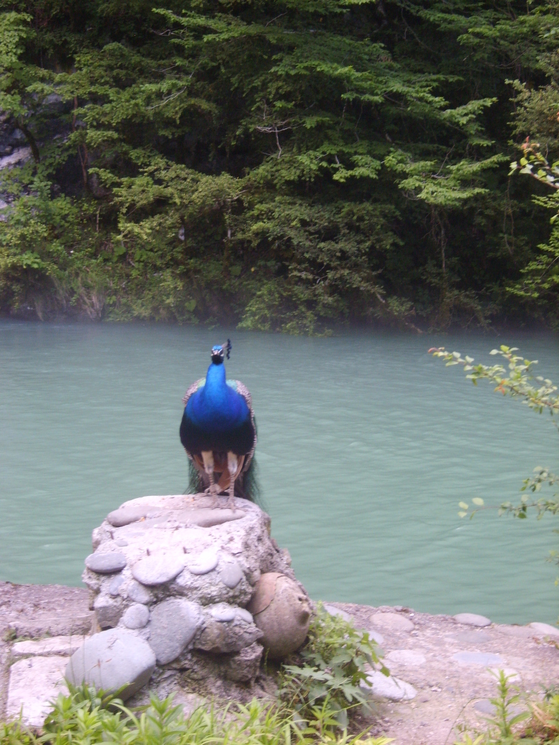 Наша экскурсия в «Страну Души». Новоафонская пещера, Каменный мешок, Голубое озеро, озеро Рица...