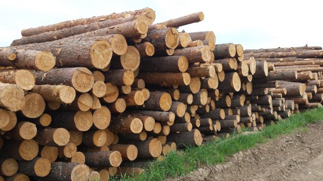 Стройматериалы для каждого от государства почти даром.