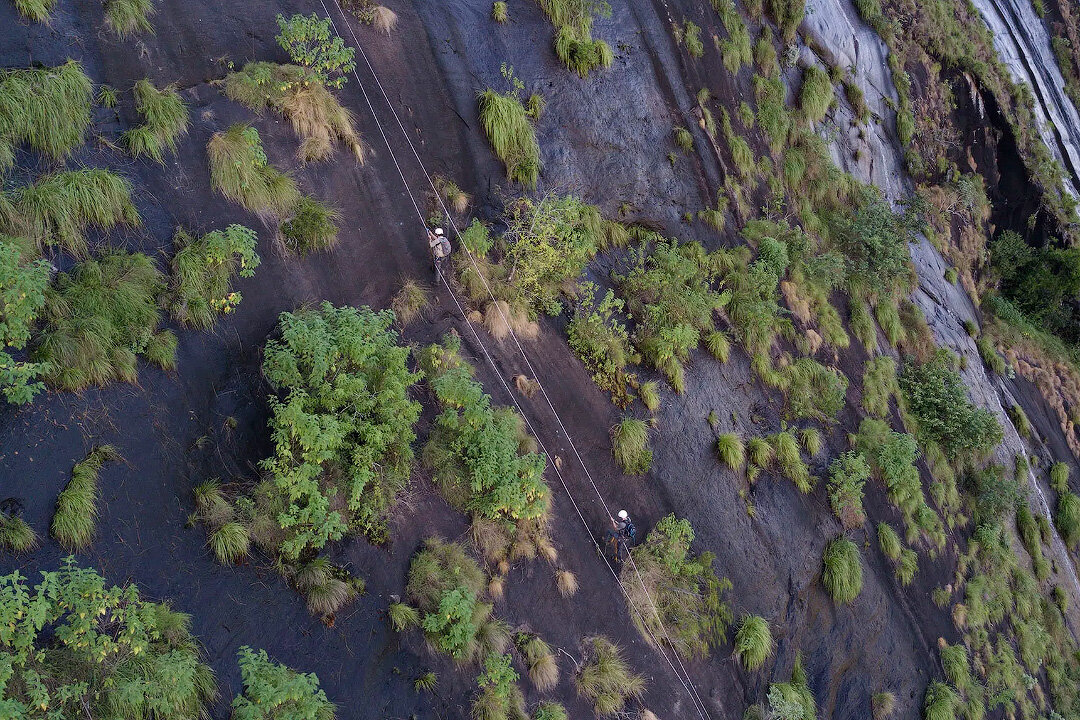 В Африке нашли гору с затерянным миром. Учёные не могут объяснить все свои находки на вершине.