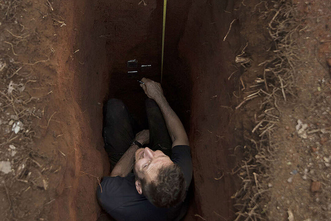 В Африке нашли гору с затерянным миром. Учёные не могут объяснить все свои находки на вершине.