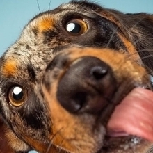 Иванов Иван Иванович, г. Череповец