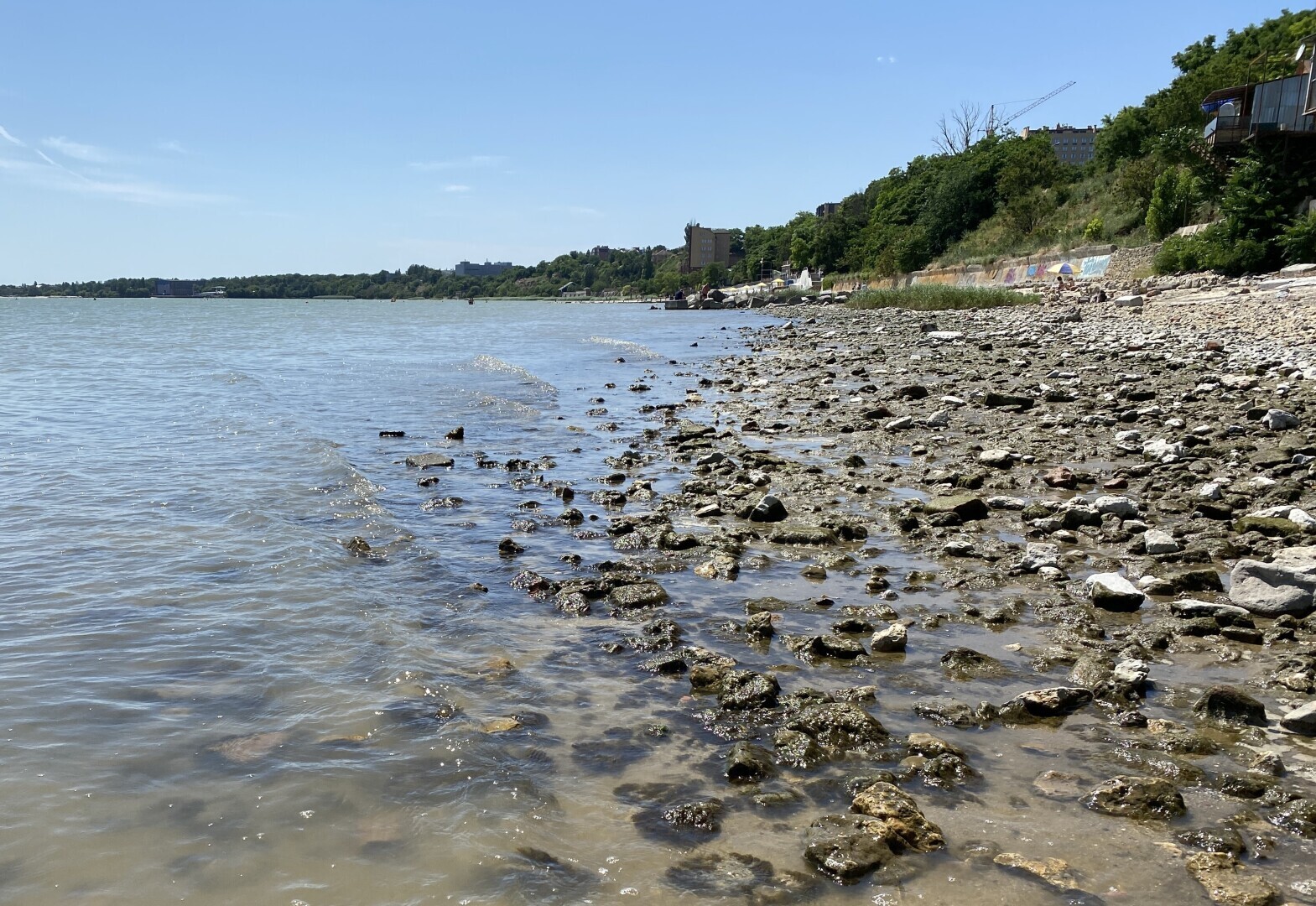 Приморский парк в Таганроге. Как он выглядел до шторма века.
