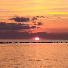 Сальватори Анна, г. Рим