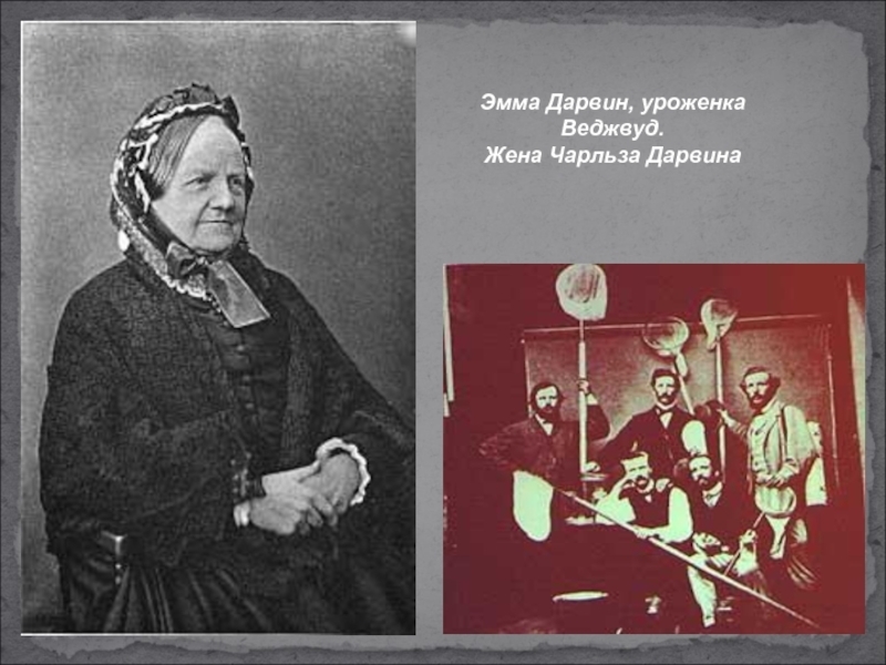 Дарвин считал, что жена лучше, чем собака.