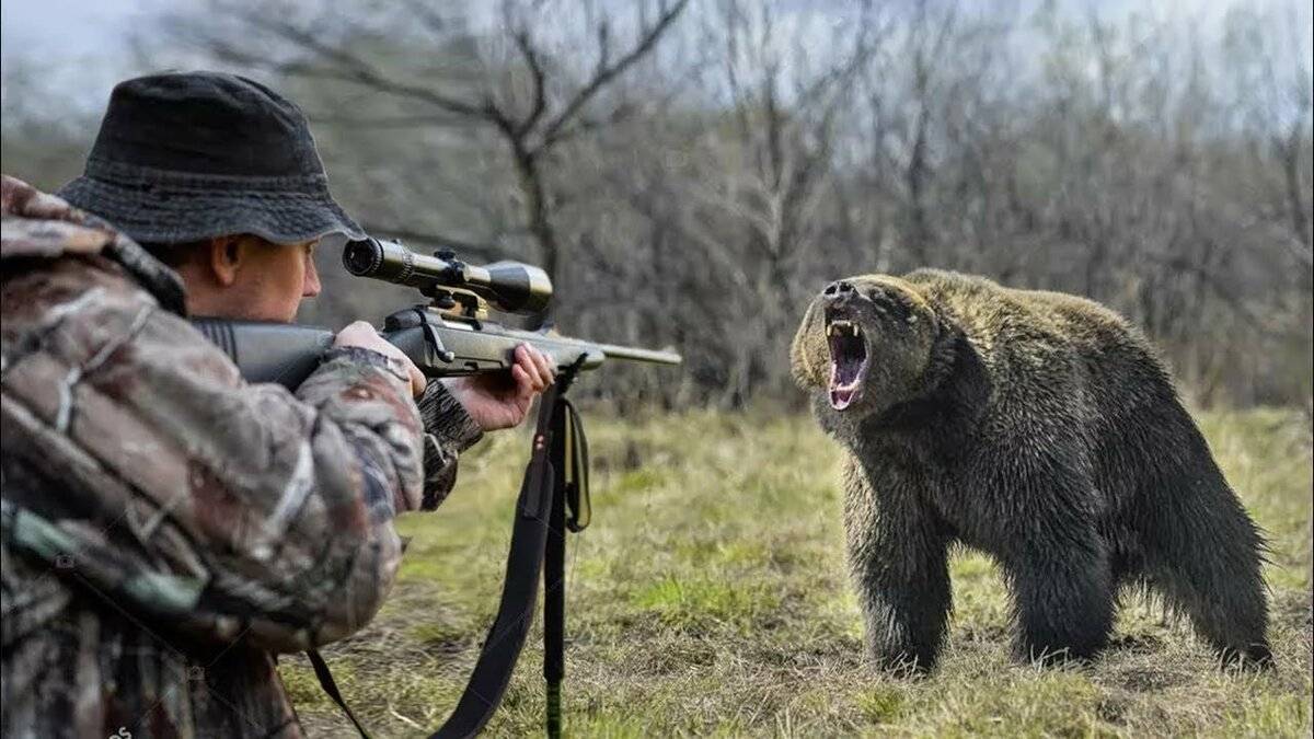 Правила и рекомендации по обеспечению безопасности во время охотничьего приключения.