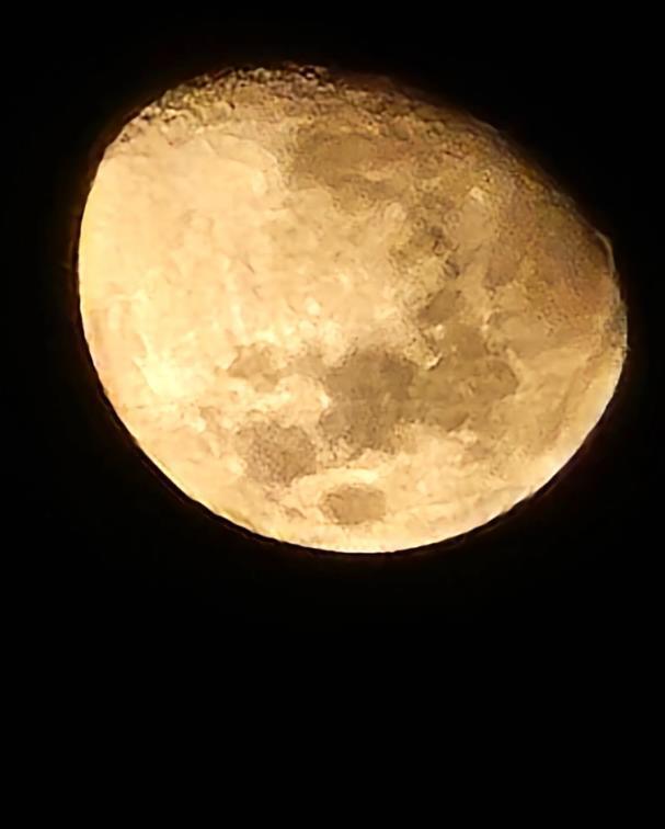 Обзор Samsung Galaxy S24 Ultra: Искусственный интеллект, который меняет реальные впечатления