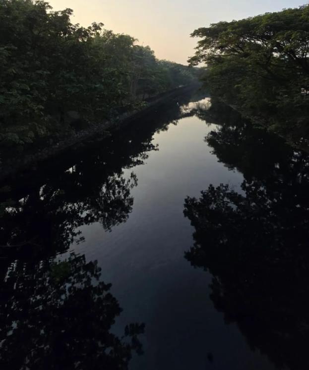 Обзор Samsung Galaxy S24 Ultra: Искусственный интеллект, который меняет реальные впечатления