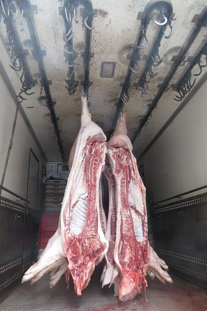 Можно ли в одном автомобиле и в одном отсеке перевозить готовую еду, колбасу, другие продукты питания и сырое мясо в открытом ящике?