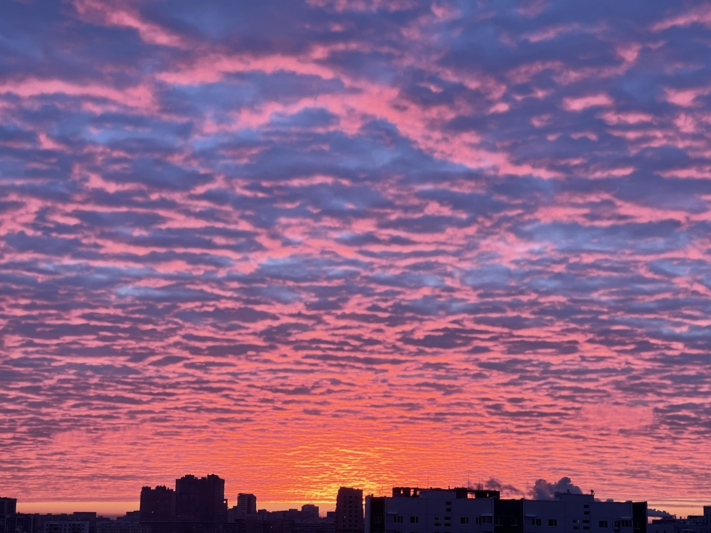 Юристы не только ходят в суд и готовят документы: вчера муж пригласил меня на свидание в необычное место. Фото