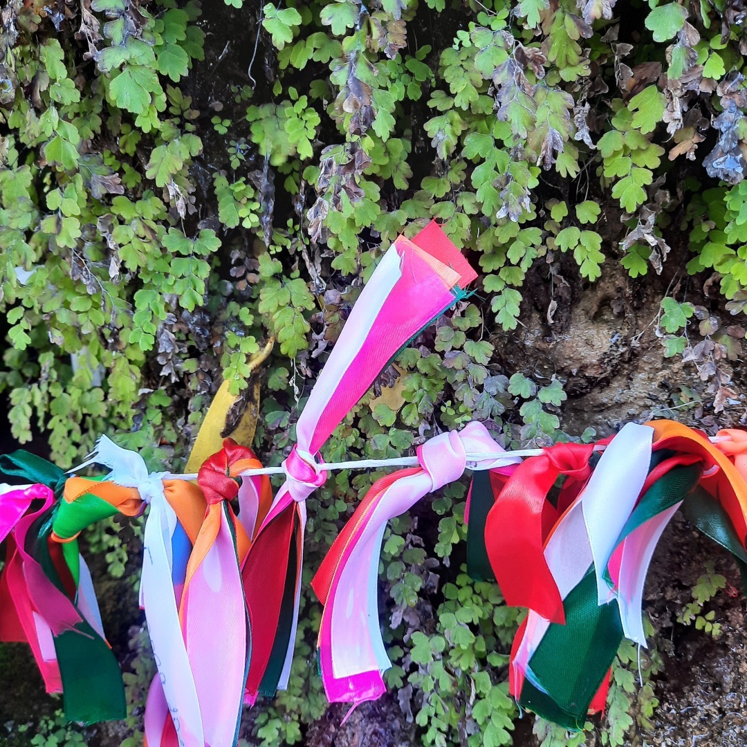 Плюсы и минусы частного тура в Абхазию на машине. История одного дня.