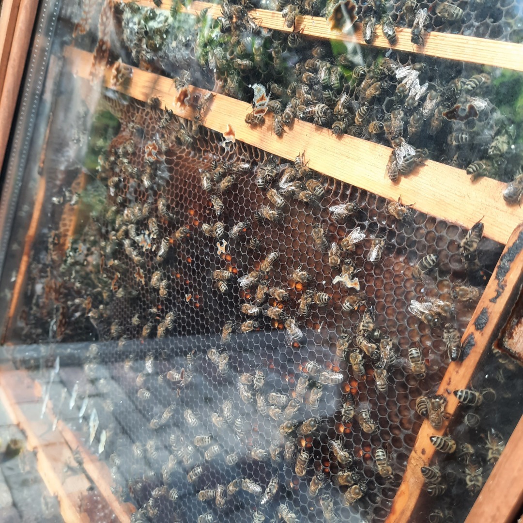 Плюсы и минусы частного тура в Абхазию на машине. История одного дня.