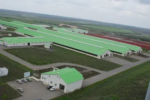 Лучшие совхозы России по урожайности и качеству продукции