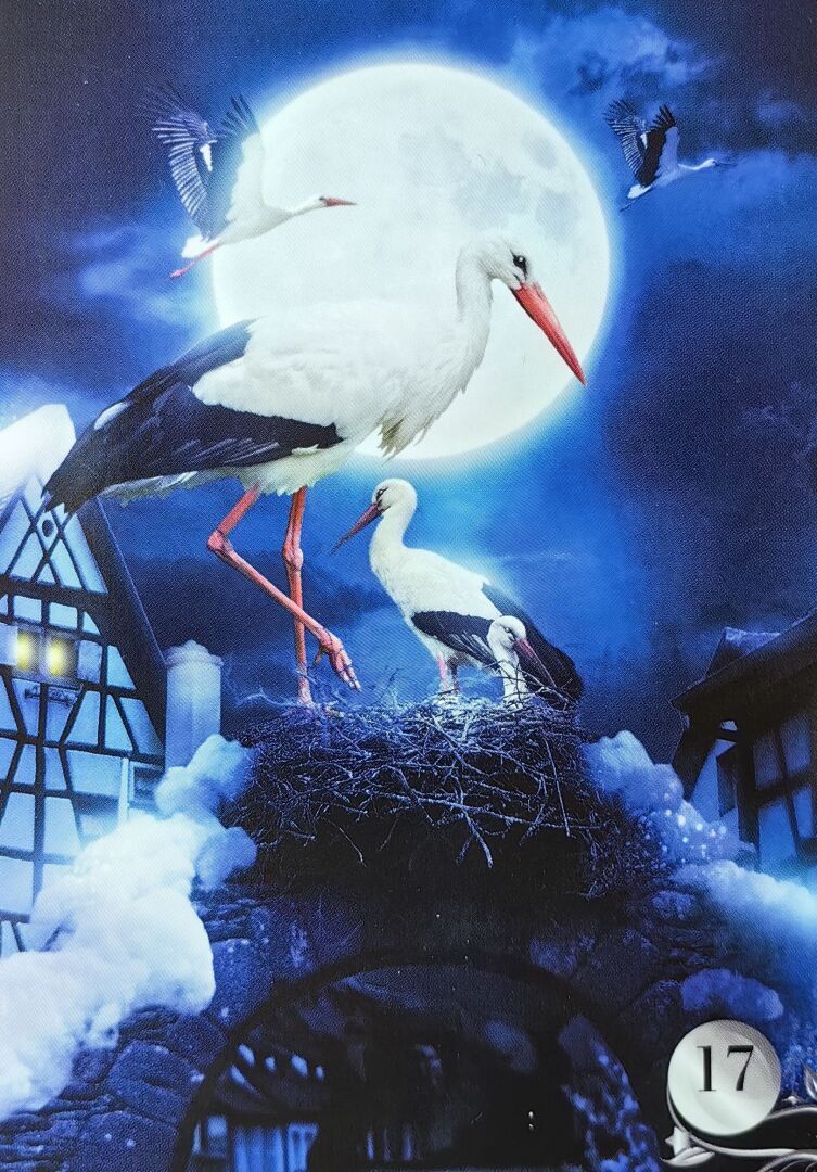 Карта дня - Аисты - Вестник перемен.