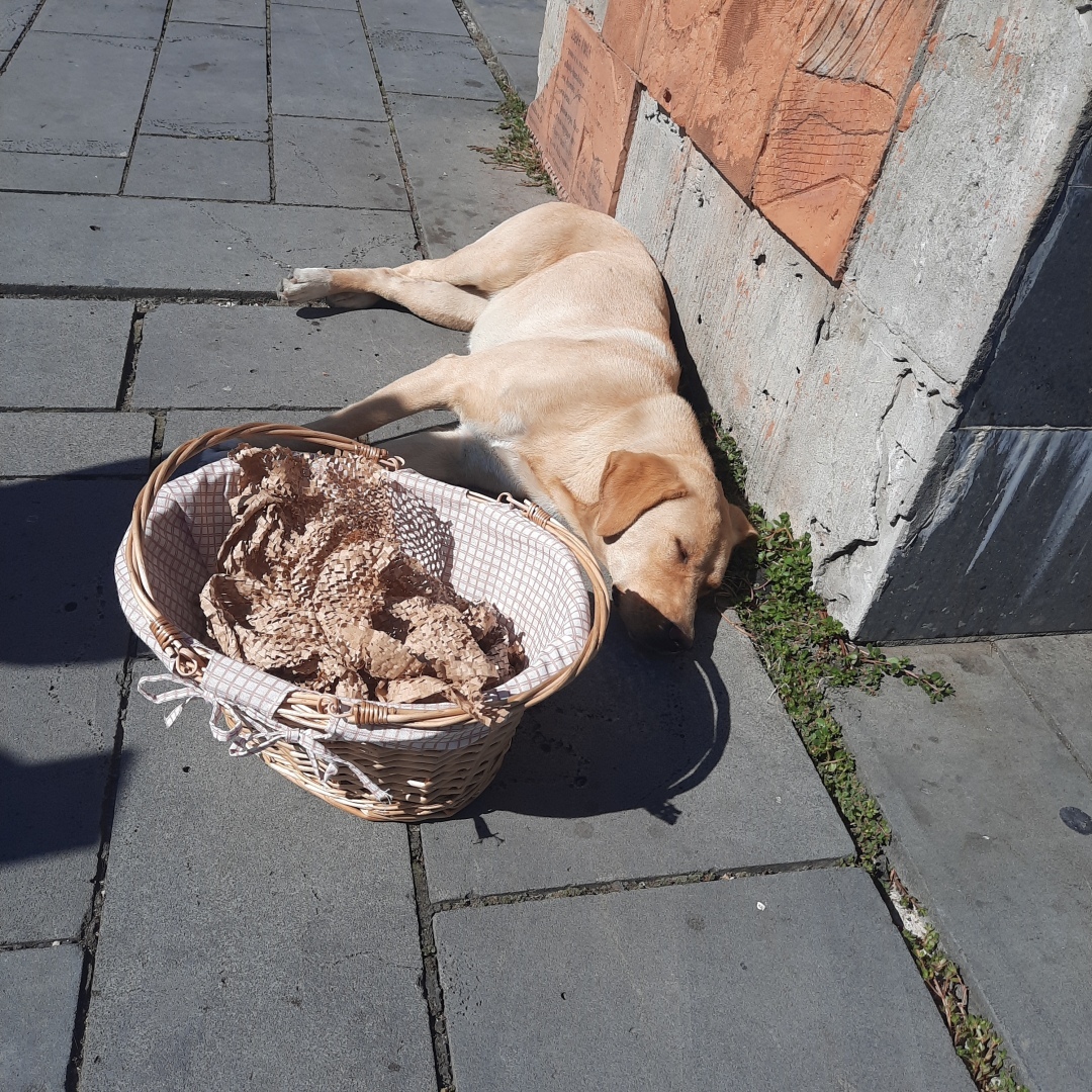 Плюсы и минусы частного тура в Абхазию на машине. История одного дня.