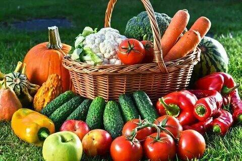 Что делать в саду и огороде в 2024 году.