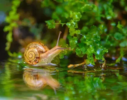 Необычные факты о животных