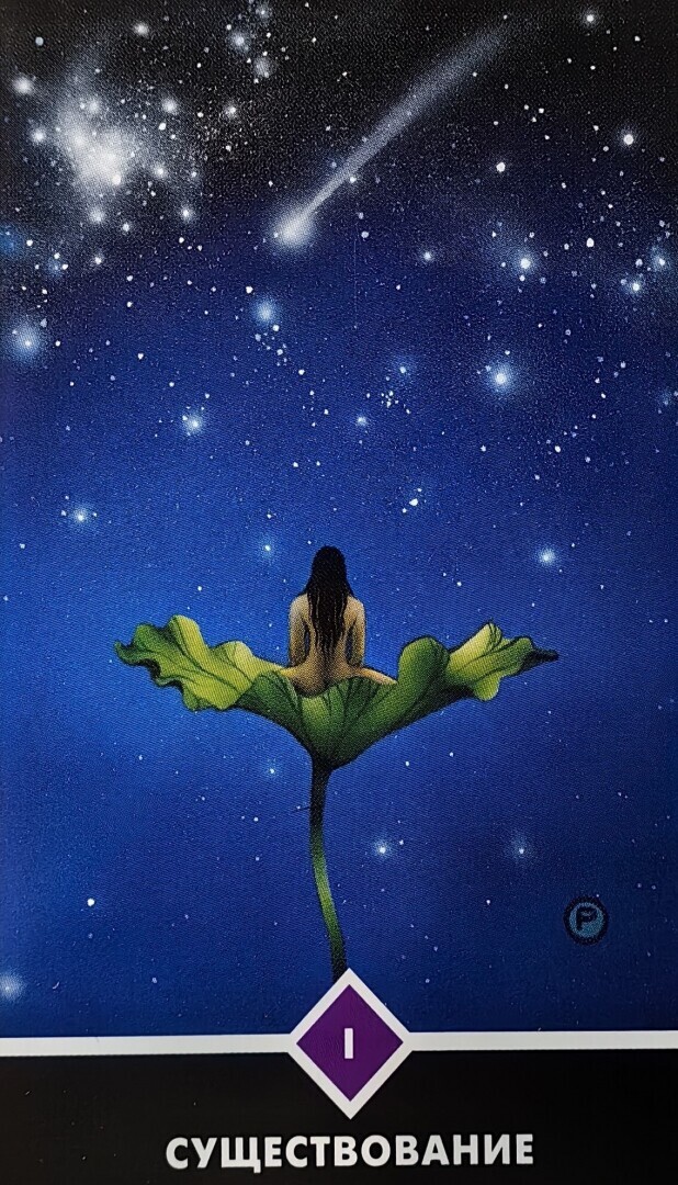 Прогноз на неделю с 19.02.2024 г. по 25.02.2024 г.