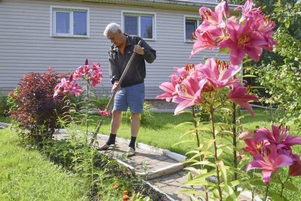 Дачников могут привлечь к уголовной ответственности по "наркотическим" статьям