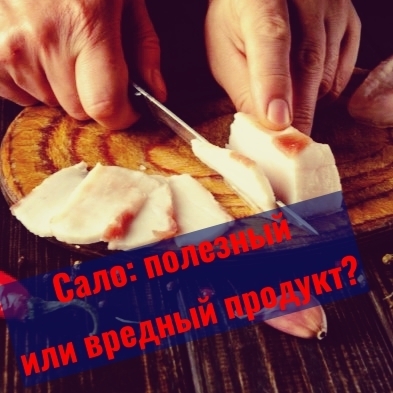 Сало: полезный или вредный продукт?
