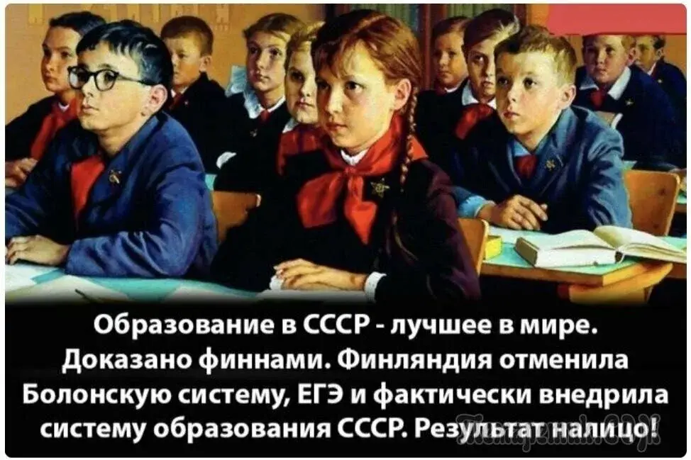 А вы довольны современной школой?