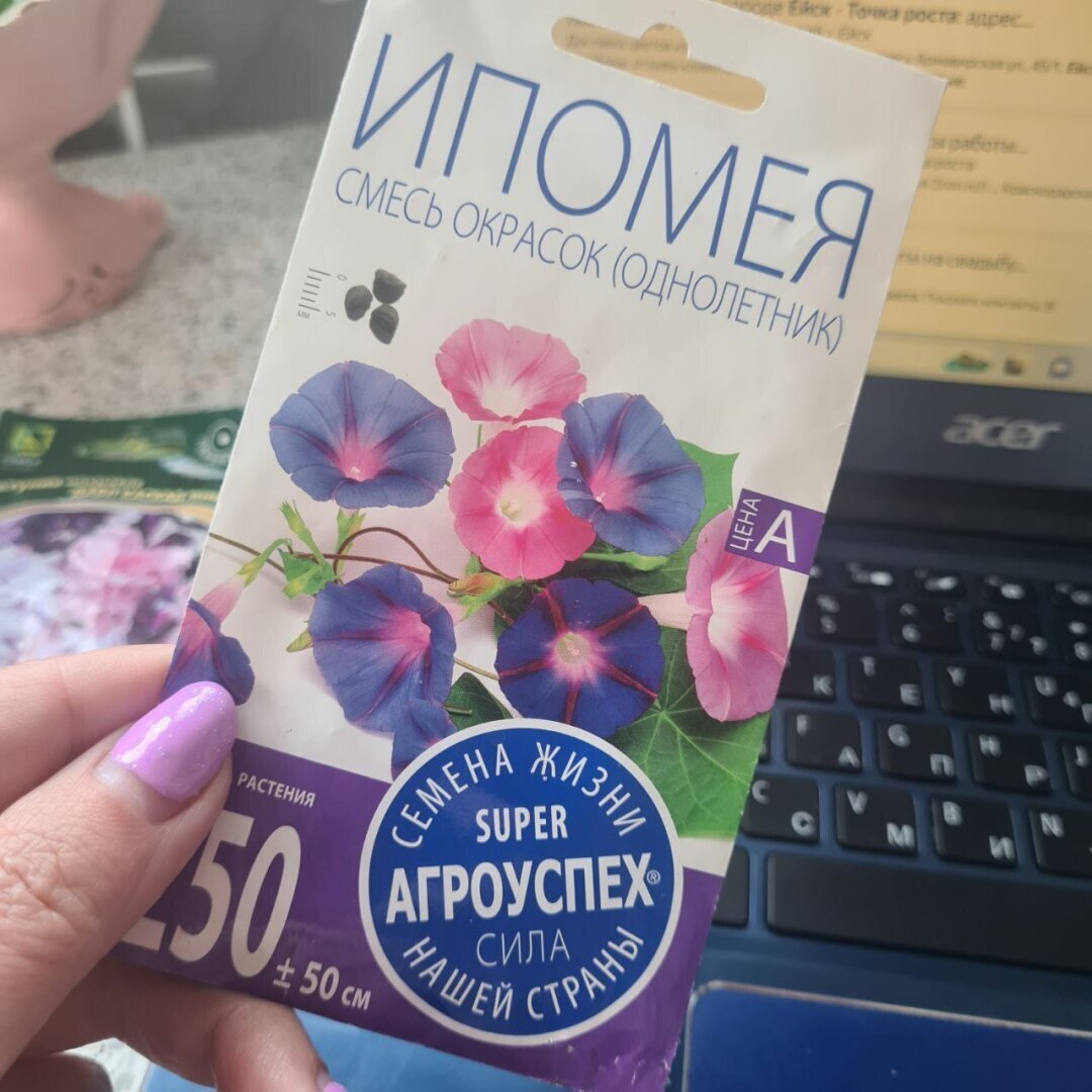 Нашла в запасах семена запрещенной к посадке ипомеи, что делать?