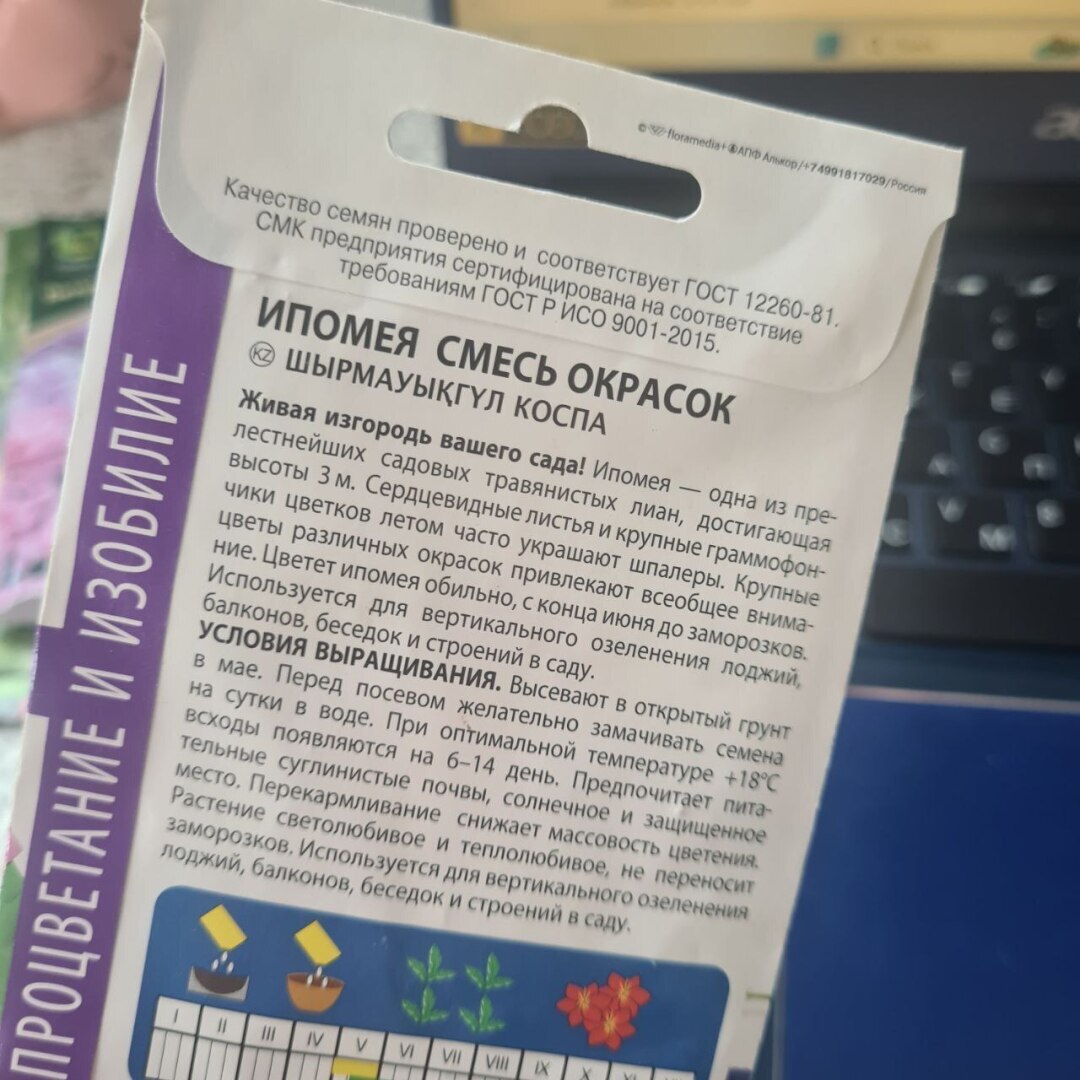 Нашла в запасах семена запрещенной к посадке ипомеи, что делать?