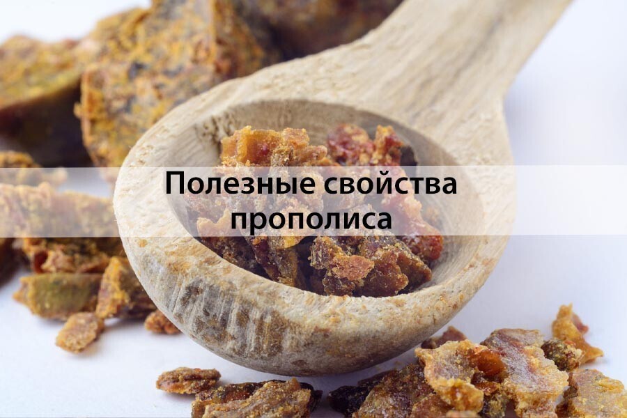 Прополис - лучшее средство от всех болезней!