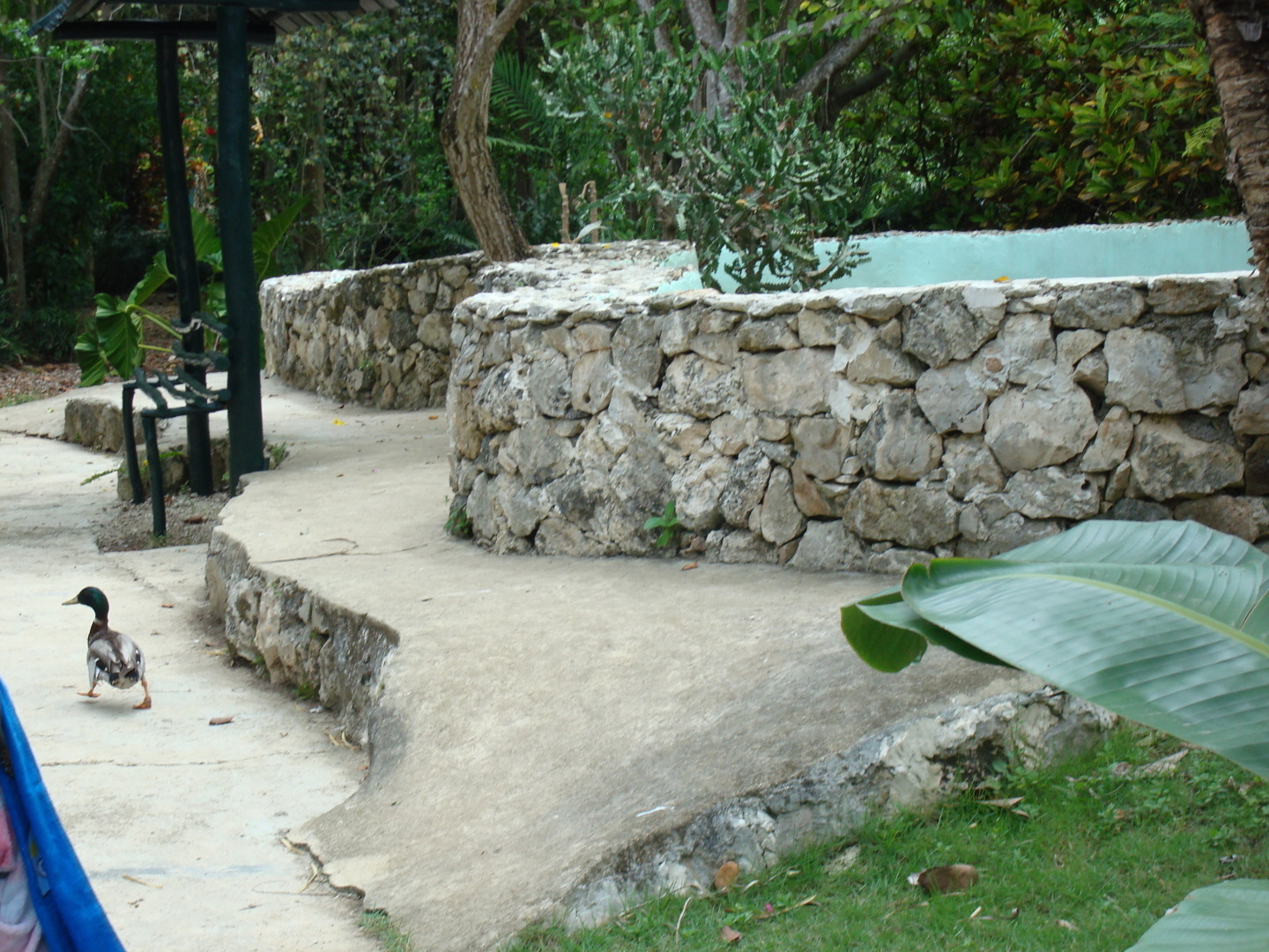 Мое путешествие в Доминикану в фотографиях: животные, зоопарк в Пунта Кане, шоу морских котиков, дельфинов и местных аборигенов. Часть первая