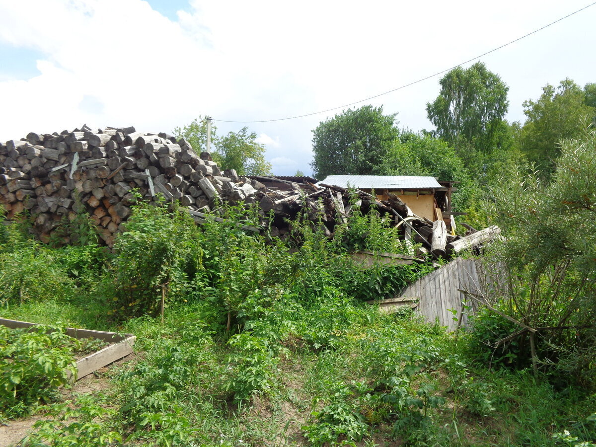 Если ваш сосед по даче нагло и бесцеремонно себя ведёт, то и на него есть управа