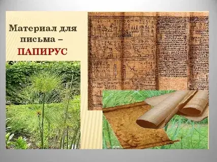“Применение папируса сегодня: альтернативные материалы и техники”