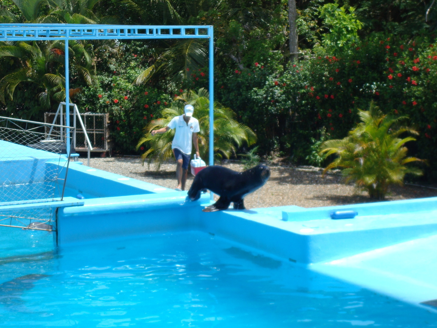 Мое путешествие в Доминикану в фотографиях: животные, зоопарк в Пунта Кане, шоу морских котиков, дельфинов и местных аборигенов. Часть первая