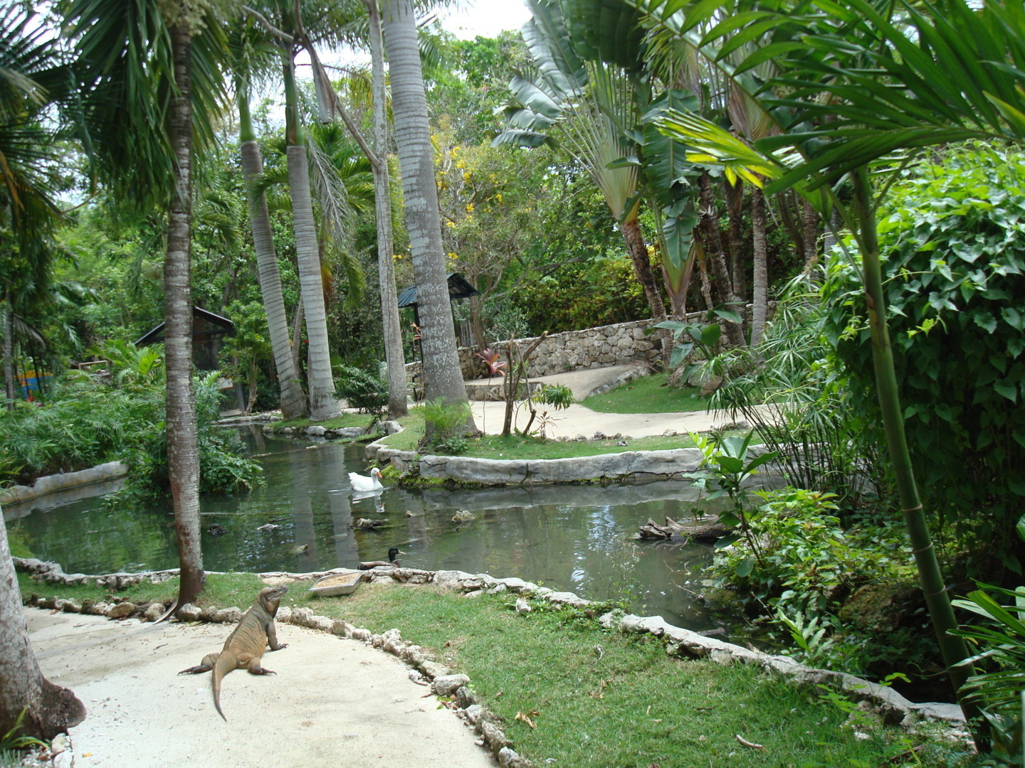 Мое путешествие в Доминикану в фотографиях: животные, зоопарк в Пунта Кане, шоу морских котиков, дельфинов и местных аборигенов. Часть первая