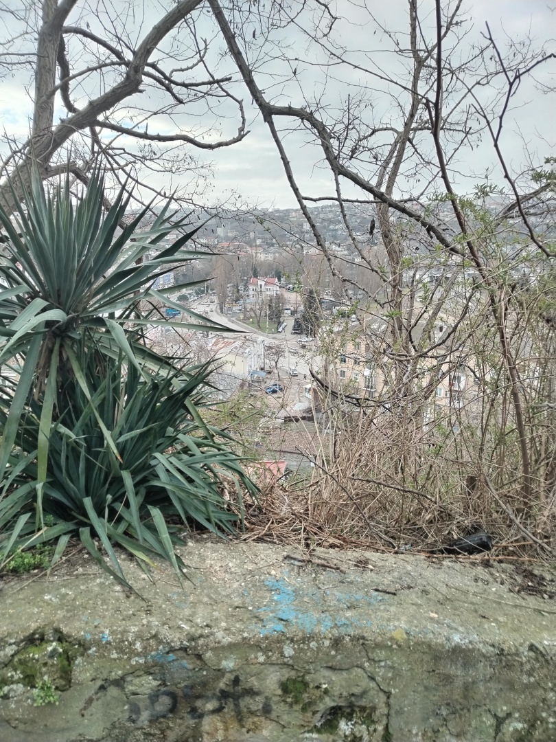 Утята на стене