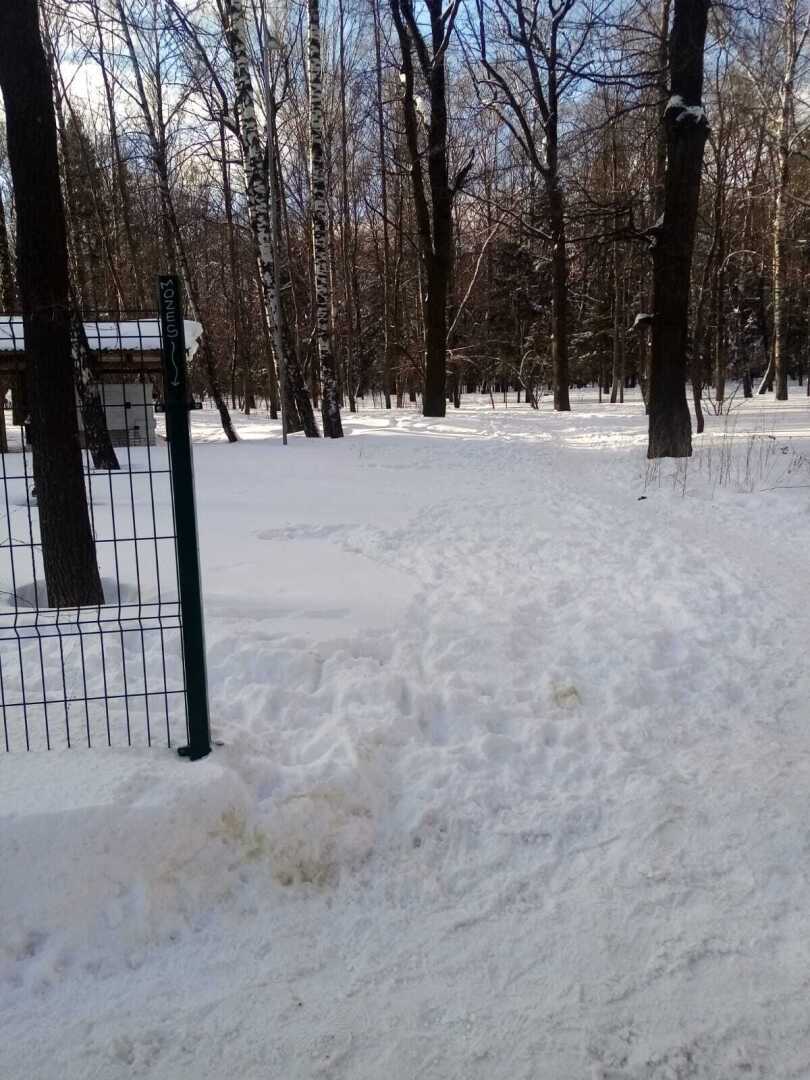 «Мороз и солнце - день чудесный...» Но весна идёт, и из-под снега начинают появляться разные «прелести»