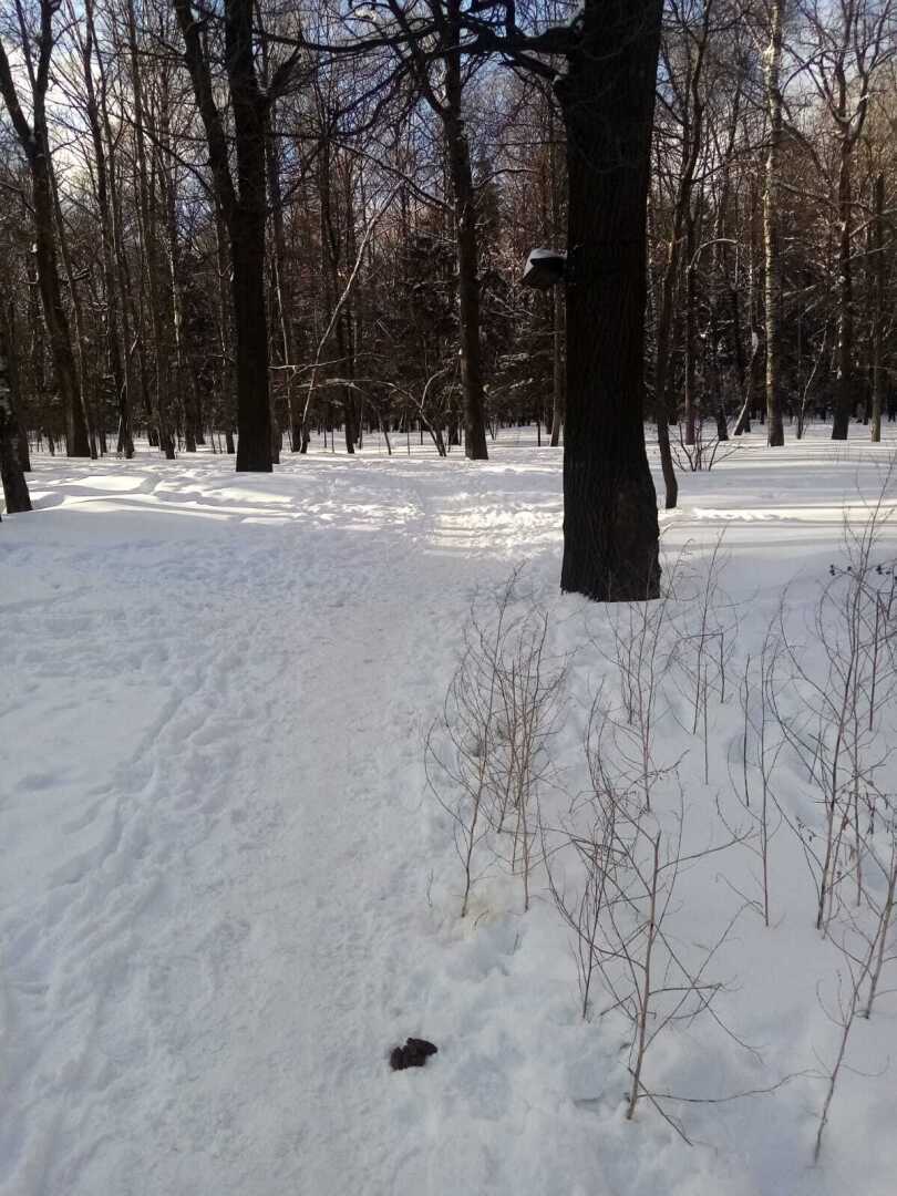 «Мороз и солнце - день чудесный...» Но весна идёт, и из-под снега начинают появляться разные «прелести»