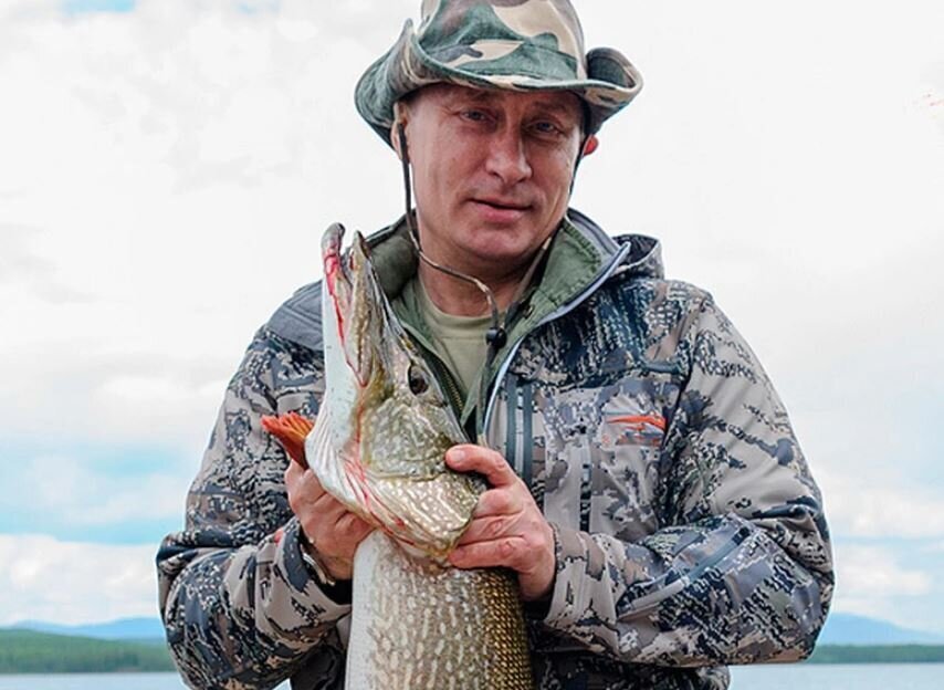 В. Путин вернул россиянам рыбу, которую англичане считали своей и ели почти 70 лет, но будем ли мы ее есть остается большим вопросом.