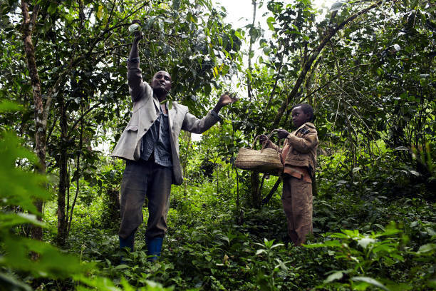 Популярный кофе