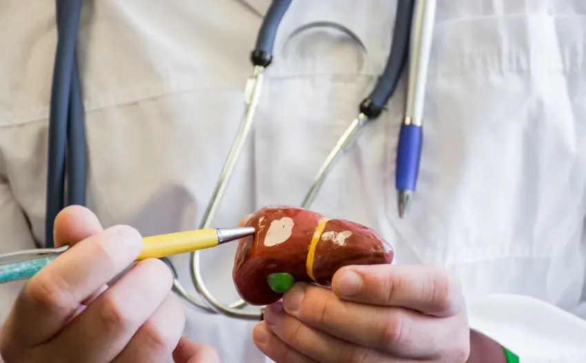 Важно : всё, что нужно знать о Вашей печени !