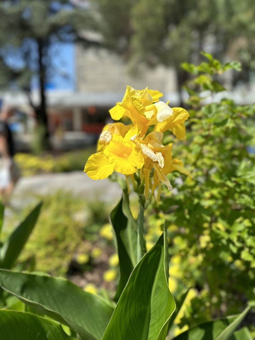 5 способов поднять себе настроение, не выходя из дома