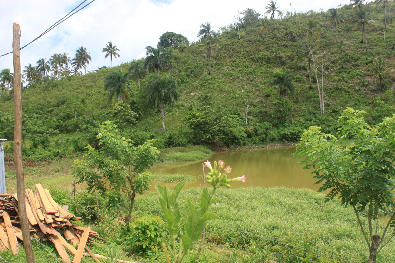 Мое путешествие в Доминиканский рай: перелет на кукурузнике, шикарный водопад, катание на лошадях, местный колорит. Фотообзор. Часть 2